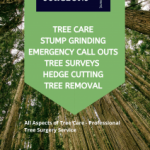 Tree Services Fortunately for our customers in Essex